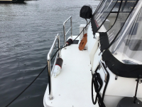 1994 Bayliner 4788 Pilothouse Motoryacht for sale in Nanaimo, BC (ID-496)