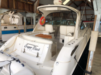 2009 Sea Ray 370 Sundancer for sale in Vancouver, BC (ID-631)
